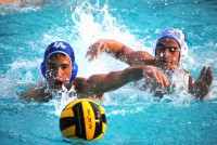 /album/imagenes/a5-jpg/